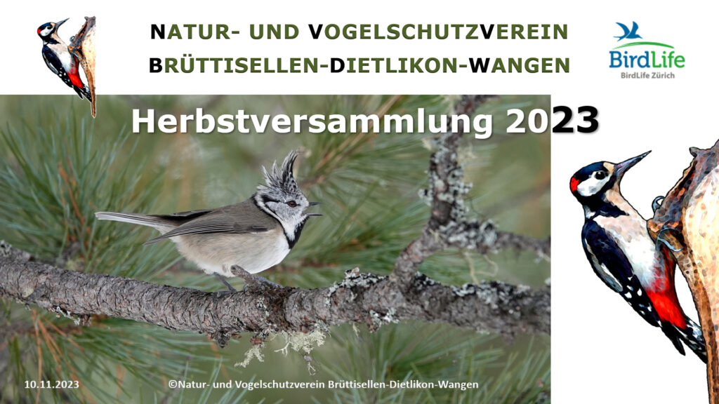 Admin Logo Herbstversammlung Natur Vogel